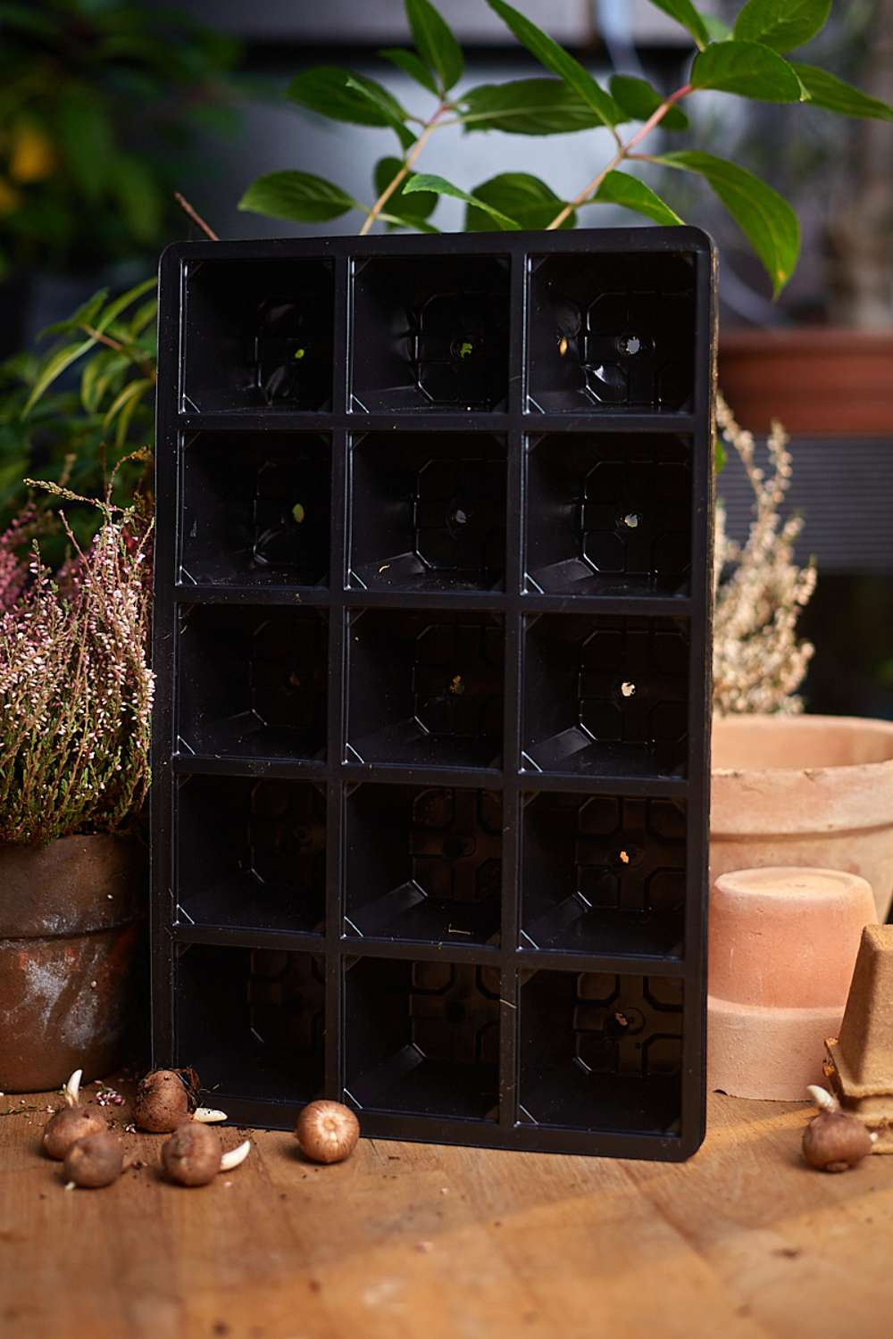 Sålåda med 15 celler, 5 st.